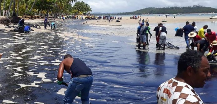 Voluntários se reúnem para limpar Praia dos Carneiros, atingida por óleo: assista o vídeo