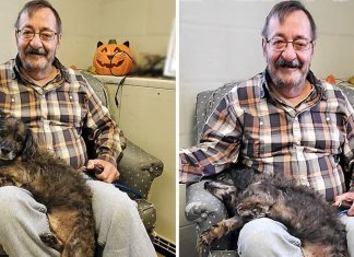 Este senhor adotou um cachorro idoso porque queria um amigo que o entendesse