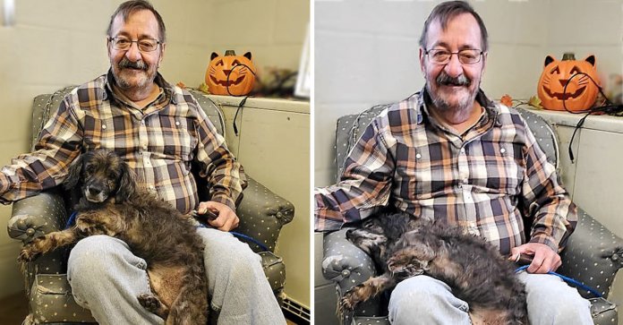 Este senhor adotou um cachorro idoso porque queria um amigo que o entendesse