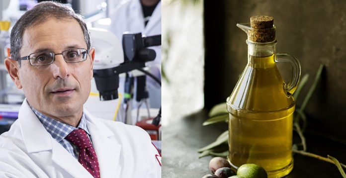 Novo estudo indica que Azeite de Oliva pode pode evitar a demência
