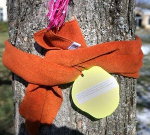 asomadetodosafetos.com - Cidadãos amarram cachecóis nas árvores para os sem-teto usarem. Uma linda atitude