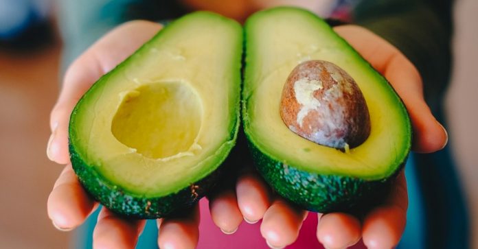 Consumir uma porção de abacate por dia ajuda no colesterol, na glicose e na depressão