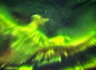 Fotógrafo impressiona o mundo ao registrar uma Fênix na Aurora Boreal