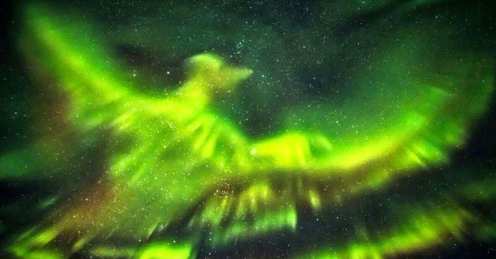 Fotógrafo impressiona o mundo ao registrar uma Fênix na Aurora Boreal