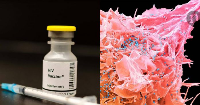 Vacina contra o HIV começará testes em humanos no final de 2019