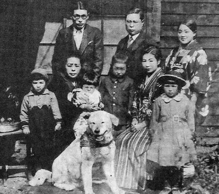 asomadetodosafetos.com - A emocionante história de Hachiko, o cão que esperou seu dono morto por 9 anos