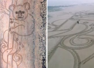 Desenharam um coala gigante numa praia da Austrália para homenagear os animais mortos