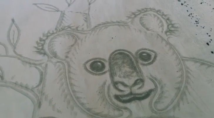 asomadetodosafetos.com - Desenharam um coala gigante numa praia da Austrália para homenagear os animais mortos