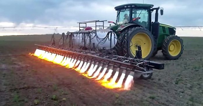 Tratores adaptados com chamas são a nova técnica para acabar com o uso pesticidas