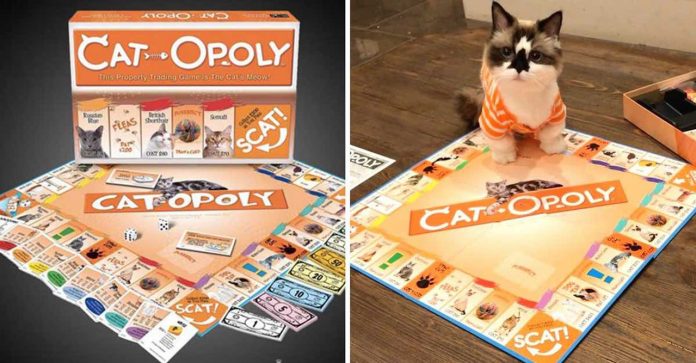 Cat-Opoly: a versão do jogo Monopólio para os amantes de gatos. Eles ganham mimos no jogo