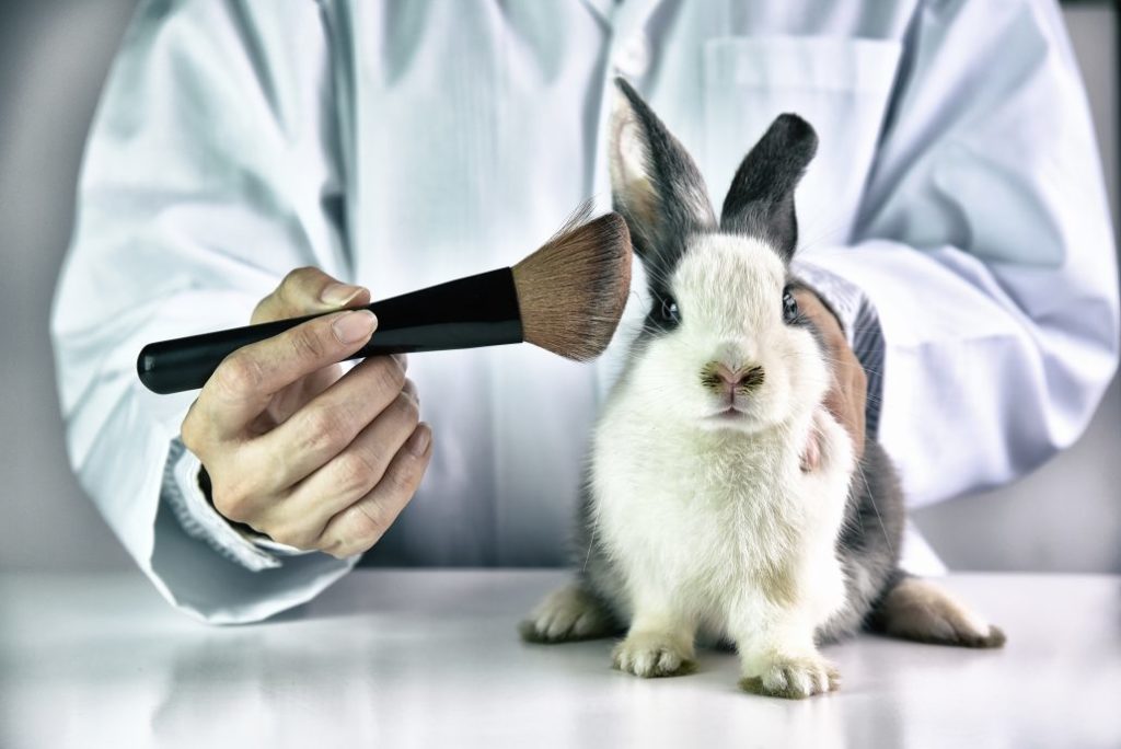 asomadetodosafetos.com - Colômbia aprova lei que proíbe experimentos com animais