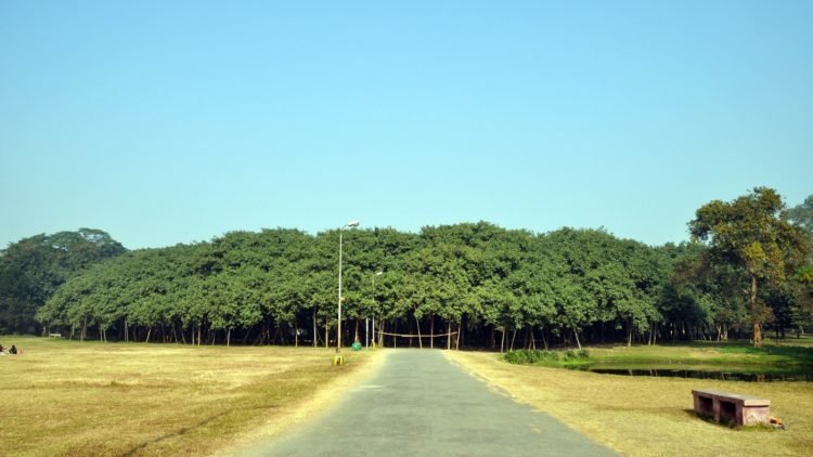 asomadetodosafetos.com - A maior árvore do mundo está na Índia e parece que foi tirada de um conto de fadas