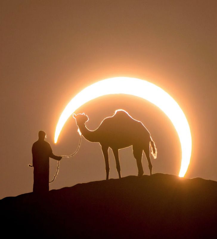 asomadetodosafetos.com - Fotógrafo registra homem e camelo sob um eclipse lunar: o momento perfeito