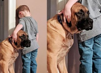 Melhor amigo até na hora do castigo: cachorro faz companhia pro dono e foto viraliza