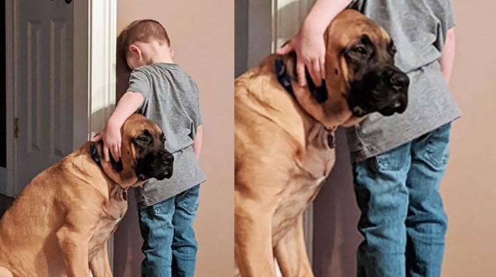 Melhor amigo até na hora do castigo: cachorro faz companhia pro dono e foto viraliza
