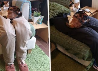Para saírem de casa sem deixar a gatinha carente, casal cria par de pernas falsas no sofá