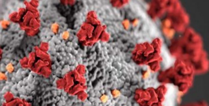 Tratamento com sangue de pessoas já curadas do coronavírus é aprovado pelo FDA