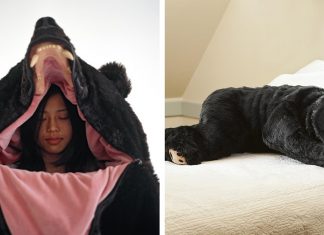 Com este saco de dormir de urso, ninguém perturbará o seu sono: um sonho hibernar assim