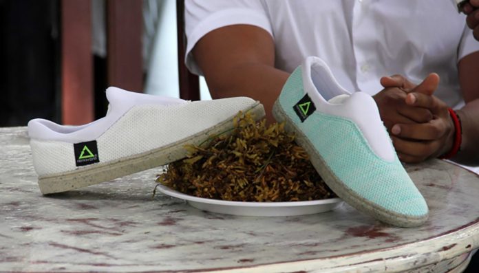 Homem cria sapatos com solas feitas de algas e garrafas PET recicladas