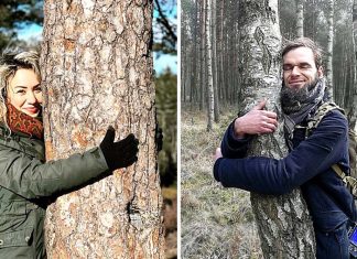 Lutando contra o isolamento social, islandeses abraçam árvores. Elas também são seres vivos