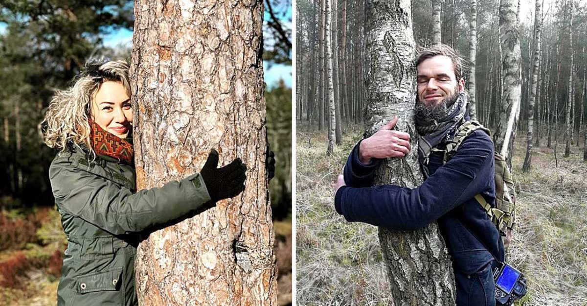 Lutando contra o isolamento social, islandeses abraçam árvores ...