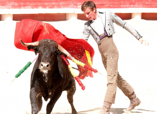 Quarentena interrompe tourada na Espanha e salva mais de 120 animais