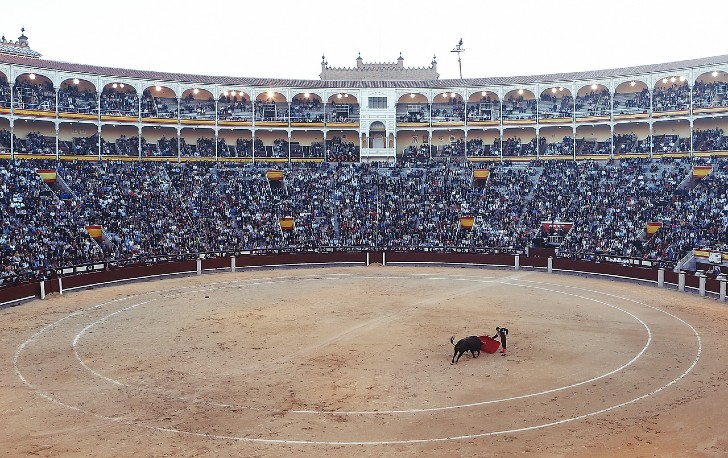 asomadetodosafetos.com - Quarentena interrompe tourada na Espanha e salva mais de 120 animais