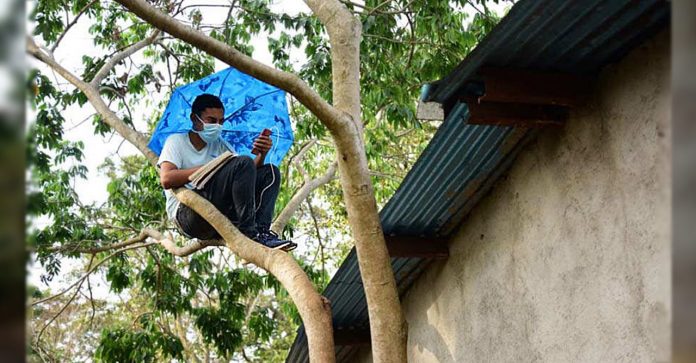 Sem internet em casa, este jovem subiu em árvore para conseguir estudar com sinal aberto