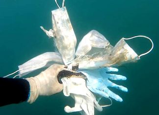 Lixo encontrado no Mar do Mediterrâneo assusta. Nós somos um vírus na natureza?