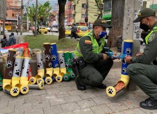 Policiais transformam tubos PVC em dispensadores de alimentos para cães de rua