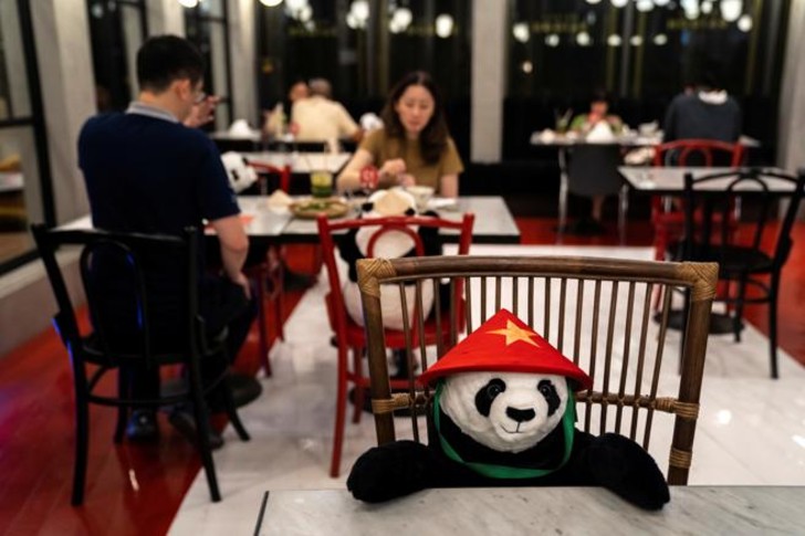 asomadetodosafetos.com - Restaurante usa pandas de pelúcia para clientes respeitarem o distanciamento social
