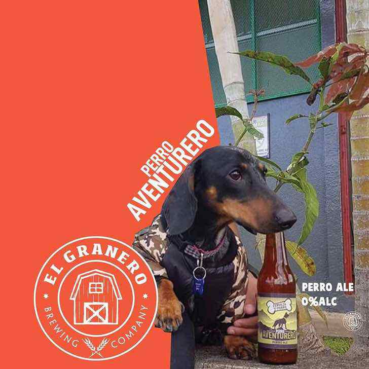 asomadetodosafetos.com - Cerveja artesanal coloca cães abandonados na sua marca e doa lucro para ajudá-los