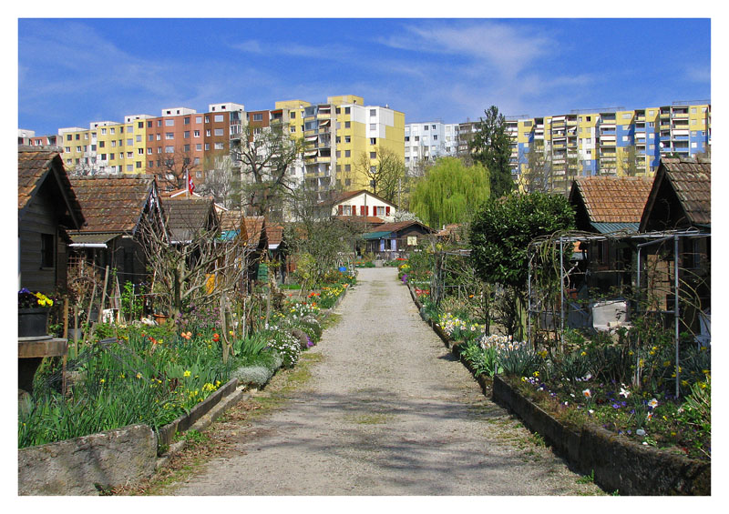 asomadetodosafetos.com - Conheça a cidade suíça em que cada habitante tem a sua própria horta nos fundos de casa
