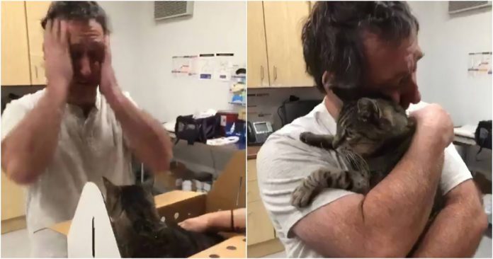 Homem tem reencontro emocionante com seu gatinho que estava 7 anos desaparecido