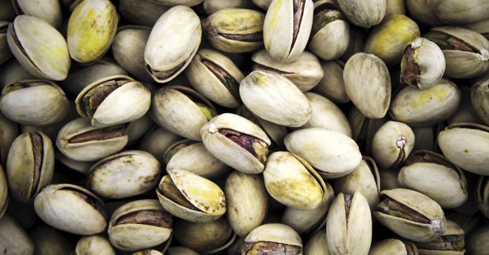 Segundo estudo, o pistache reúne uma fonte de proteína completa pra ocupar o lugar da carne
