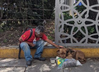Ele perdeu a casa por causa da pandemia, mas o seu cachorro segue com ele: única companhia.
