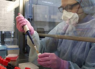 Estado do Paraná entra em negociações com a Rússia para produzir vacina da covid