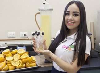 Estudante mexicana cria plástico biodegradável feito a partir de cascas de laranja