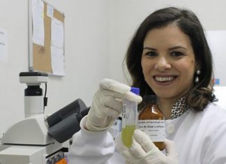 Universidade Federal da Paraíba cria inseticida barato capaz de matar mosquito da dengue