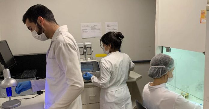 Brasileiros desenvolvem teste pra Covid que é mais eficiente e barato do que o PCR