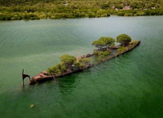 Natureza transforma navio que inundou há mais de 100 anos: resultou numa linda paisagem