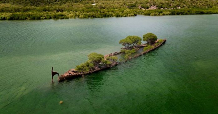 Natureza transforma navio que inundou há mais de 100 anos: resultou numa linda paisagem