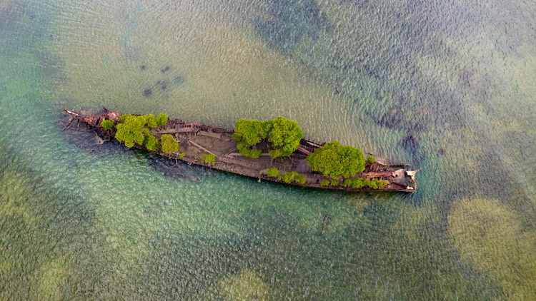 asomadetodosafetos.com - Natureza transforma navio que inundou há mais de 100 anos: resultou numa linda paisagem