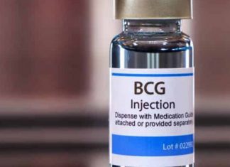 Vacina BCG contra Covid começará testes agora em outubro no Brasil