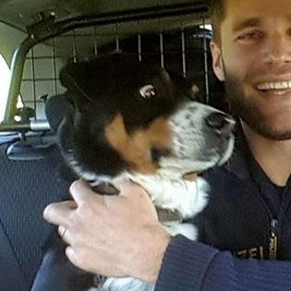 asomadetodosafetos.com - Cão que fugiu foi pego pela polícia e a sua cara é impagável de tão engraçada, veja!