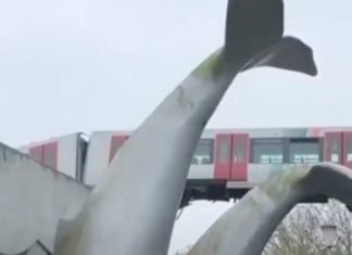 Metrô e maquinista escapam de acidente por escultura de cauda de baleia