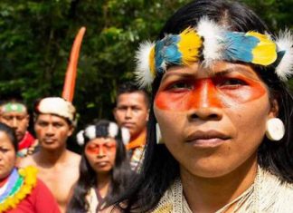 Líder indígena vence Nobel por proteger 500 mil hectares da Floresta Amazônia