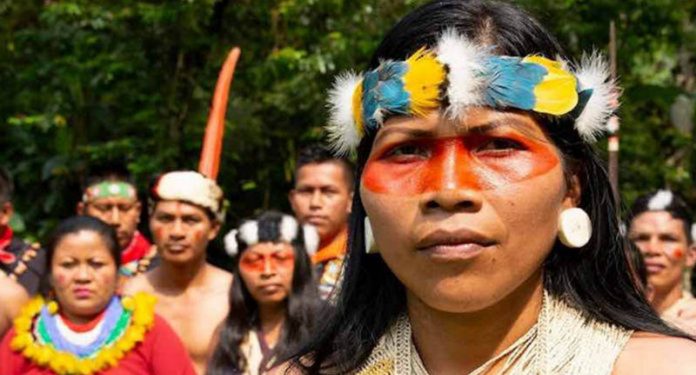Líder indígena vence Nobel por proteger 500 mil hectares da Floresta Amazônia