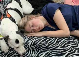 Para confortar pitbull com câncer, técnica veterinária dorme ao seu lado: compaixão