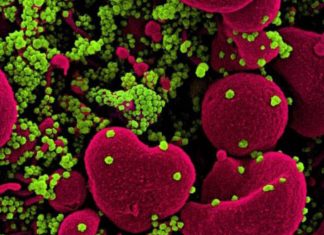 Cientistas descobrem que medicamento usado para combater linfoma bloqueia Covid